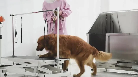 Edelstahl-Tier-Haustier-Hundepflege-elektrischer anderer Veterinärinstrument-Hebetisch